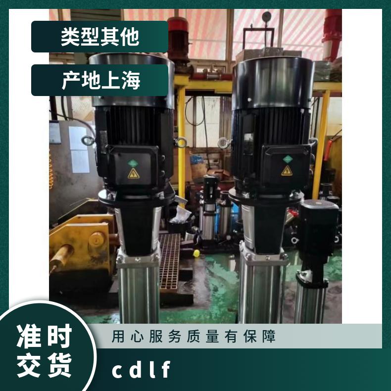 CDLF19 高扬程立式多级 其他 常温 丁菲泵业 铸铁 10-300m3/h