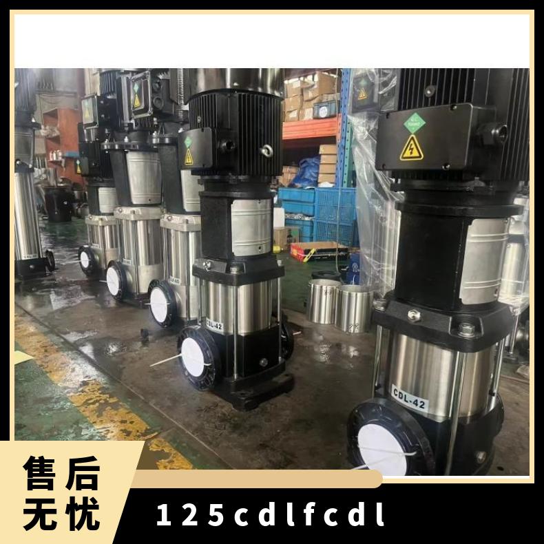 125CDLFCDL立式多级离心泵 其他 常温 铸铁 10-300m3/h 丁菲泵业