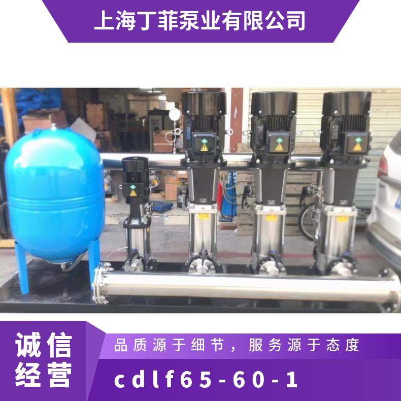 CDLF65601 立式多级增压 其他 铸铁 常温 丁菲泵业 10-300m3/h