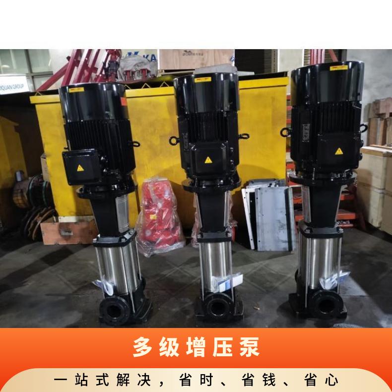CDLF1612 立式多级增压 铸铁 10-300m3/h 丁菲泵业 其他 常温