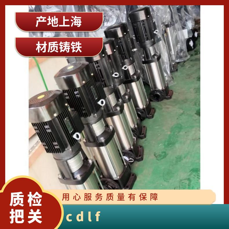 25CDLF2-100 立式多级 封闭式 单吸 其他 丁菲泵业 常温 铸铁