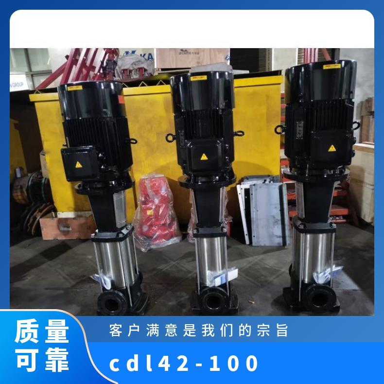 CDL42-100 高扬程多级 单吸 其他 封闭式 常温 丁菲泵业 铸铁