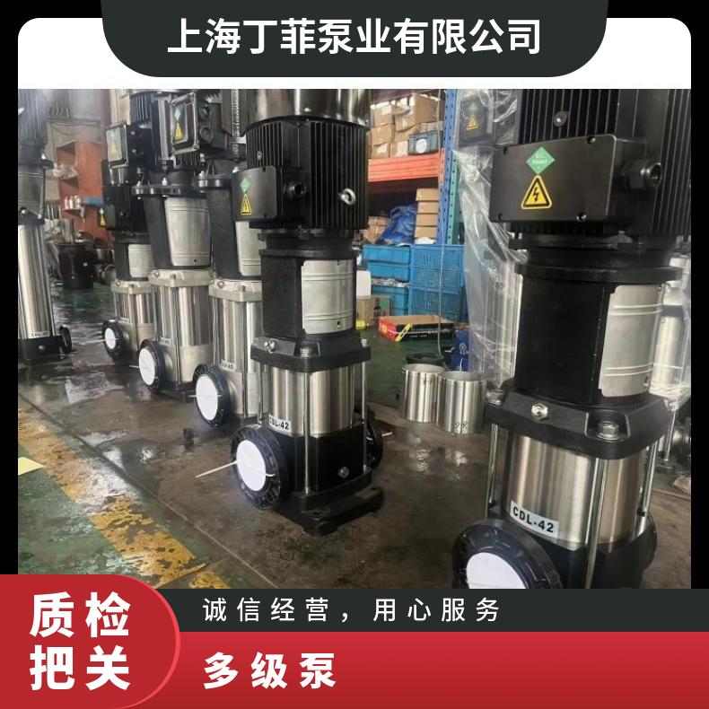125CDLF120-301 轻型立式多级 铸铁 其他 单吸 丁菲泵业 常温