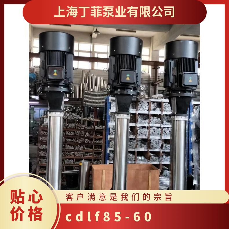 CDLF8560 立式高扬程离心泵 其他 丁菲泵业 10-300m3/h 常温 铸铁