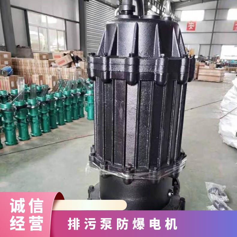 400QW1760-7.555 防爆潜水排污泵 边立式 不阻塞 电动 WQ 10m~60m
