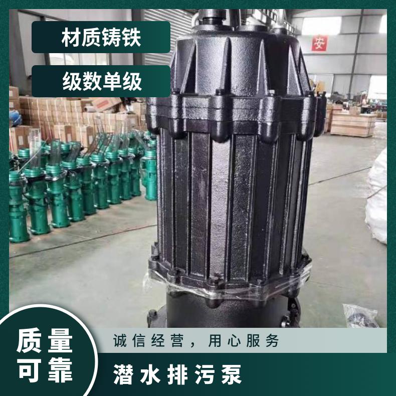 250WQ600-2575 潜水排污泵品牌 单级 不阻塞 边立式 电动 10m~60m