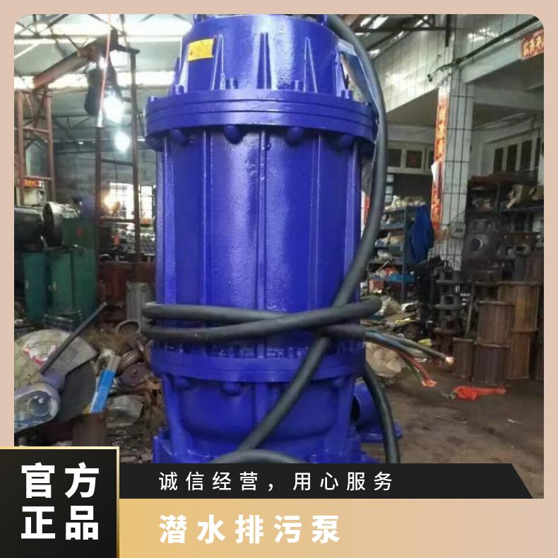 QW250-6002055 潜水排污泵选型 10m~60m 电动 QWB 边立式 不阻塞