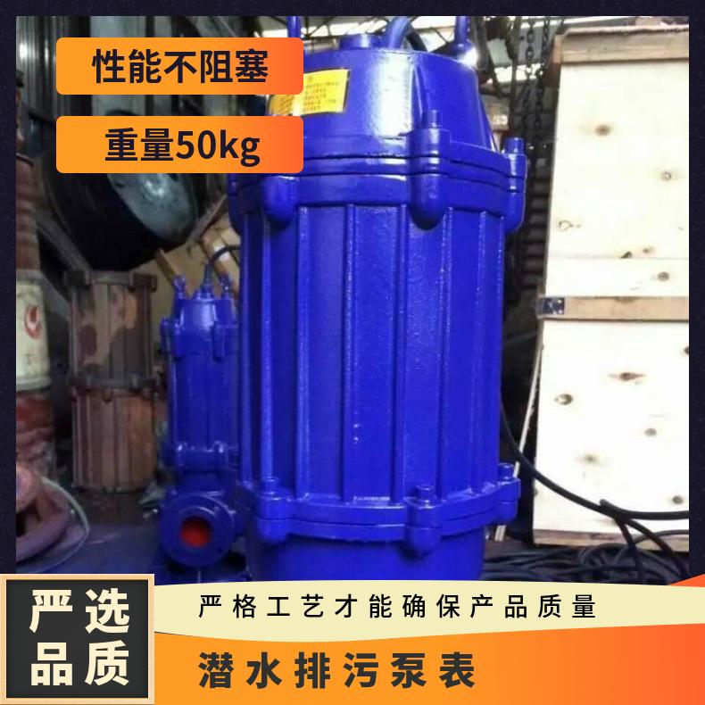JPWQ65-251514003 潜水排污泵表 不阻塞 10m~60m 边立式 电动