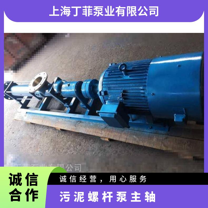 G70-2 污泥螺杆主轴 不阻塞 单叶轮 电动 排污泵 10m~60m 边立式