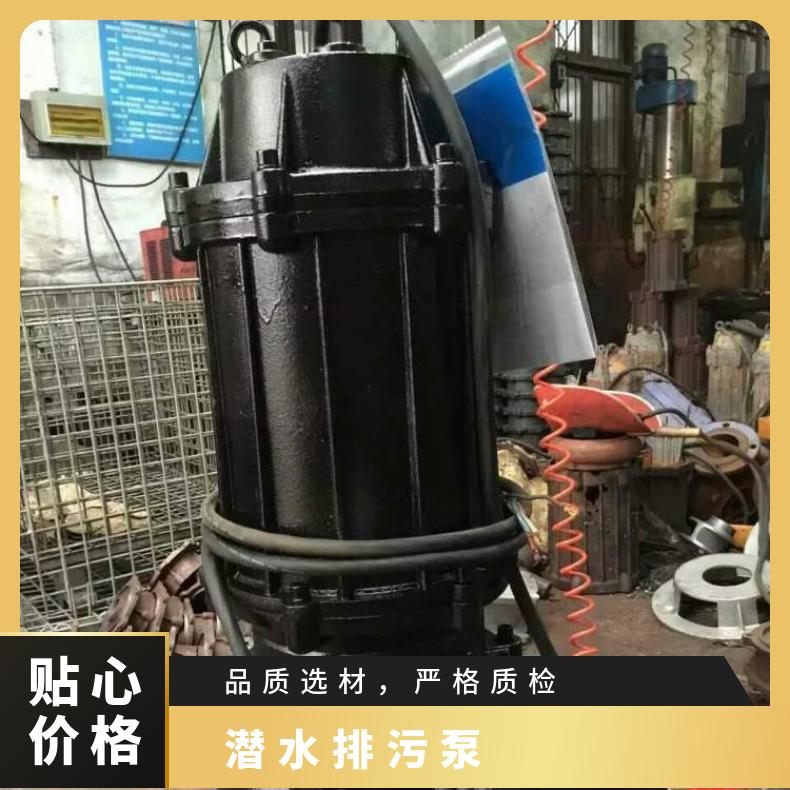 250QW600-2055 /WQ潜水排污泵 电动 单级 边立式 10m~60m 不阻塞