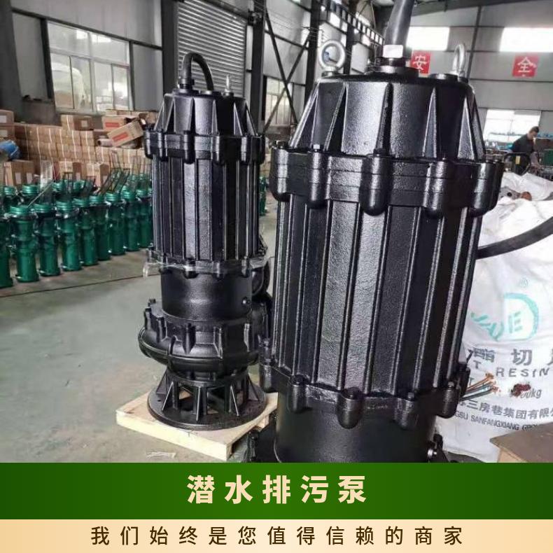 WQ250-6001237 无堵塞潜水排污泵批发 10m~60m 单级 不阻塞 电动