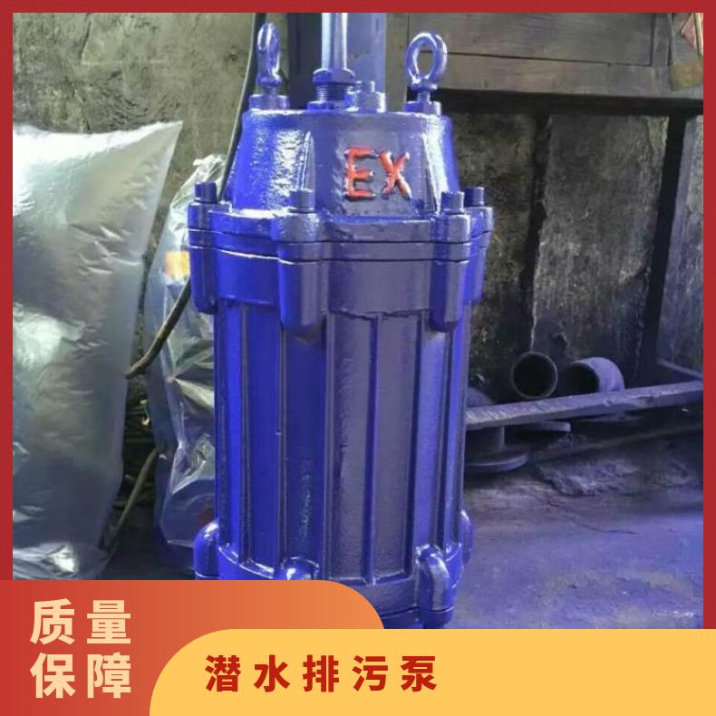 WQ65-3515 自耦式潜水排污泵厂家 边立式 10m~60m 不阻塞 电动