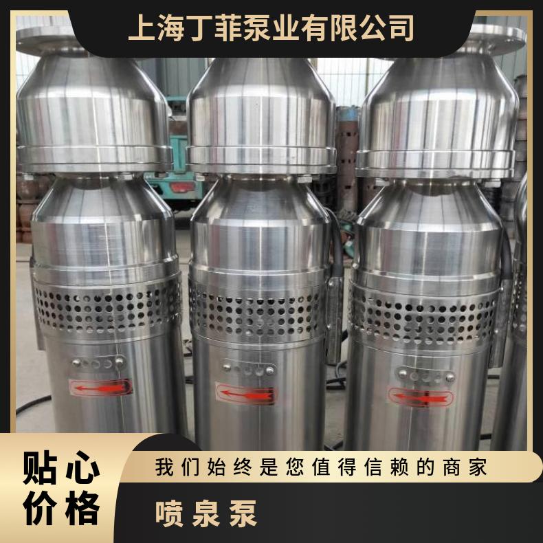 QS100-125.5 QSP喷泉泵 单叶轮 卧式 0m 清水泵 电动 铸铁 不阻塞