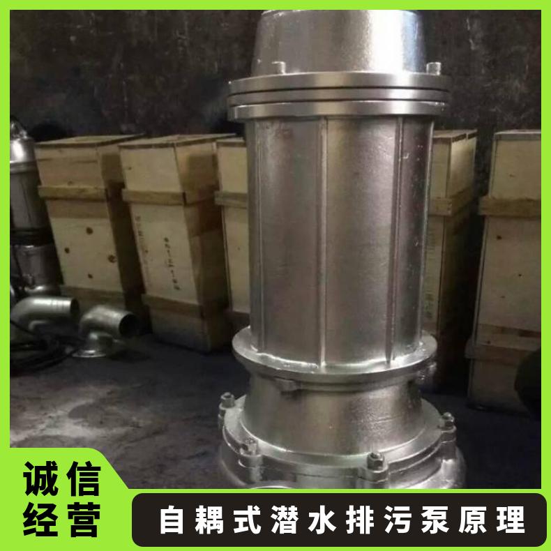 200QWP450-30 自耦式潜水排污泵原理 10m~60m 不阻塞 电动 单级