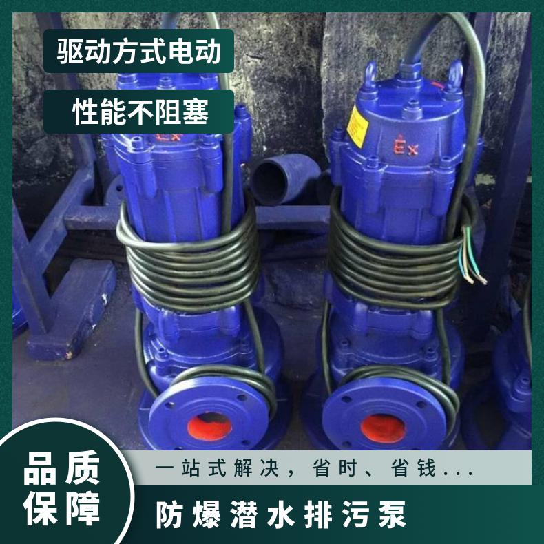 50WQP25-183 防爆潜水排污泵 65QW409 10m~60m 不阻塞 电动
