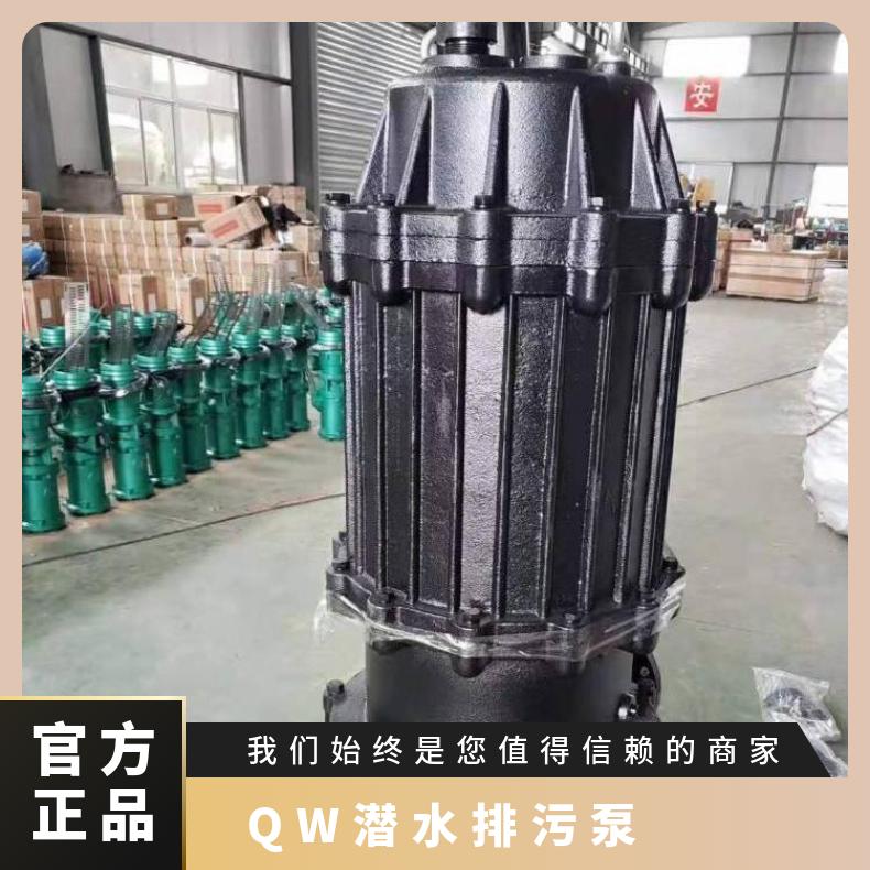 250WQB600-30-75 QW潜水排污泵 100-35-18.5