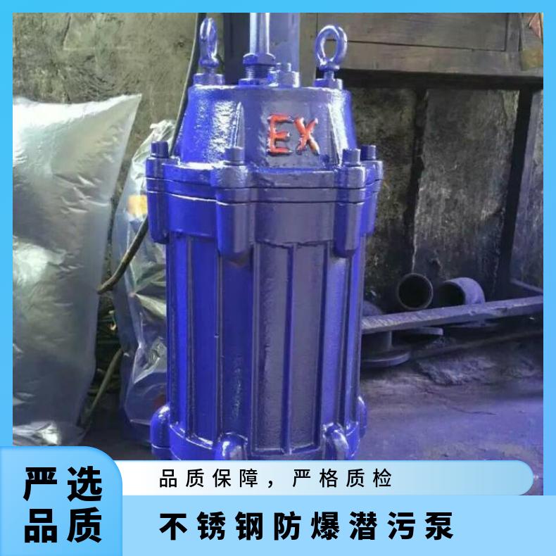 65WQB25-1.5 不锈钢防爆潜污 10m~60m 不阻塞 QWB 潜水排污泵