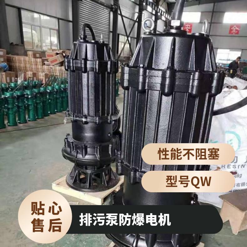 65QWP40-205.5 防爆型号参数 不阻塞 潜水排污泵 10m~60m