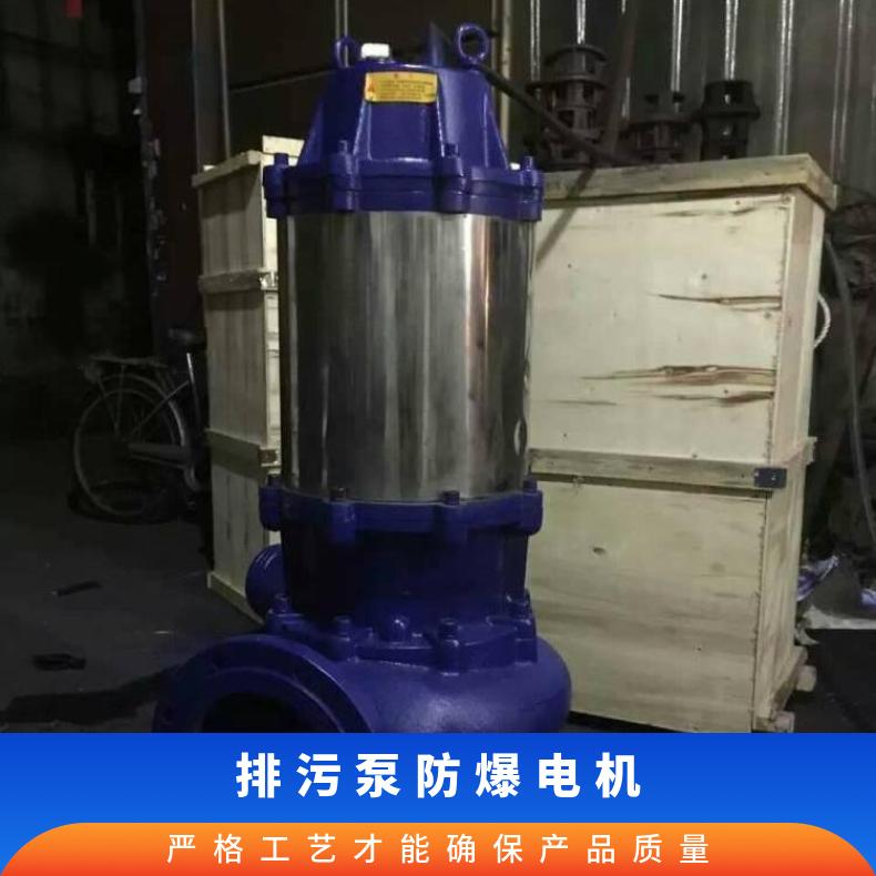 250WQ600-2055 防爆 电动 10m~60m 潜水排污泵 不阻塞 单级