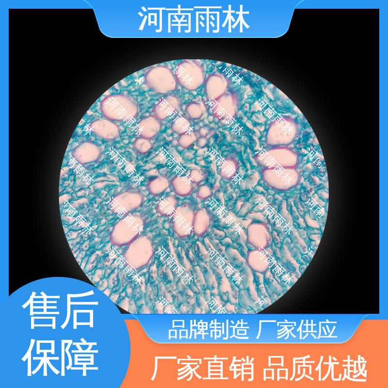 雨林教育 可后期加工 品质优良 实验切片 个性化定做