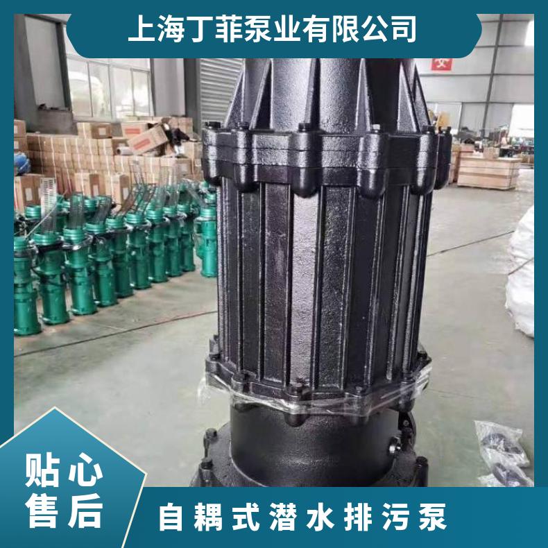 32QWP6-151.1 自耦式潜水排污泵 边立式 电动 10m~60m 不阻塞