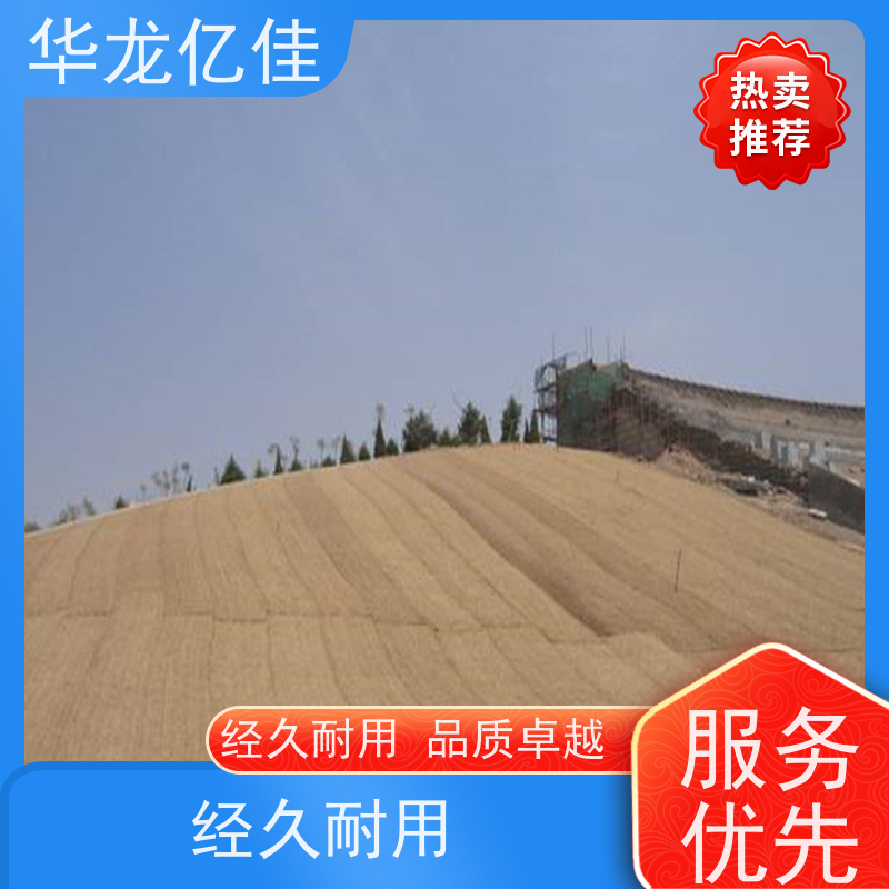 销售 河道护坡毯 规格多样 矿山修复 华龙亿佳供应