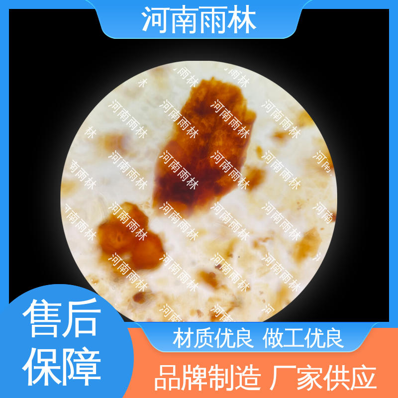 显微切片 一对一质检 售后无忧 源头工厂 雨林教育工程