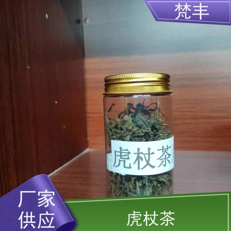 梵丰 虎杖圆片 手选大片原材料 库存充足 厂家供应