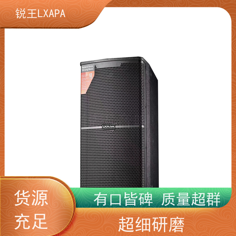 锐王LXAPA 小会议室阵列音箱 宴会厅 定压音柱 礼堂音响设备