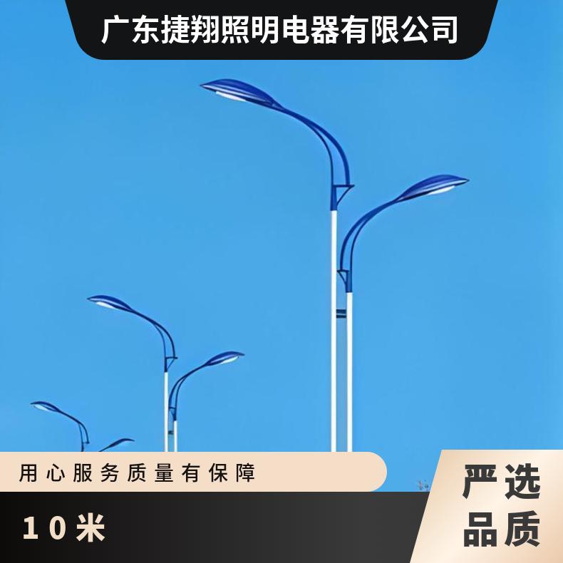 LED大功率市电路灯双头双臂挑臂高低臂平行壁双杆10米12米15米杆