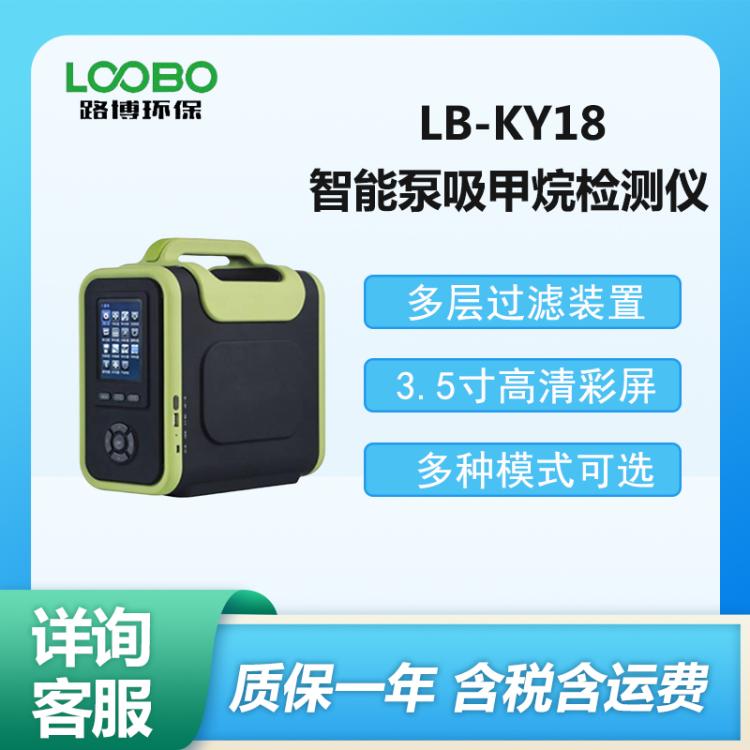 LB-KY18型 智能泵吸式甲烷检测仪 手提式甲 烷探测器