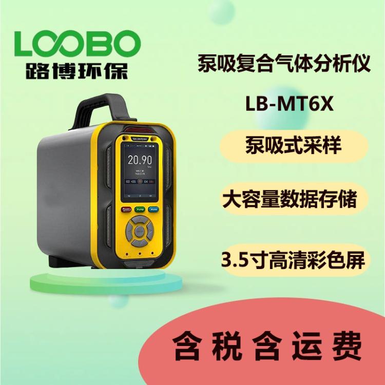 LB-MT6X型 泵吸复合气体分析仪 有毒有害气体检测仪