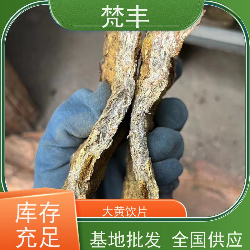 梵丰 大黄驯化 各种规格支持过筛 欢迎来电洽谈