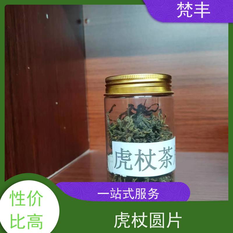梵丰 虎杖产地 中药材苗容易种活 长期供应 诚信经营