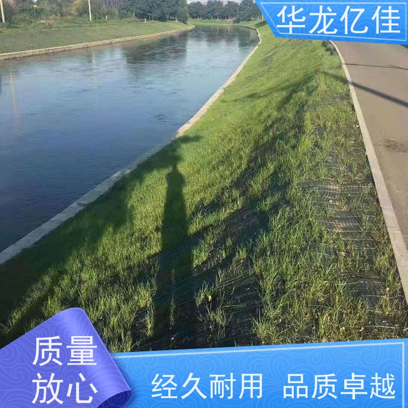 国标 植物纤维毯 河道护坡绿化植草毯 华龙亿佳供应