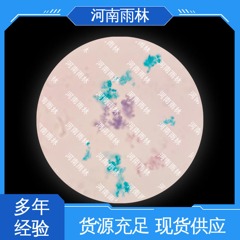 个性化定做 一对一质检 性价比高 教学切片 雨林