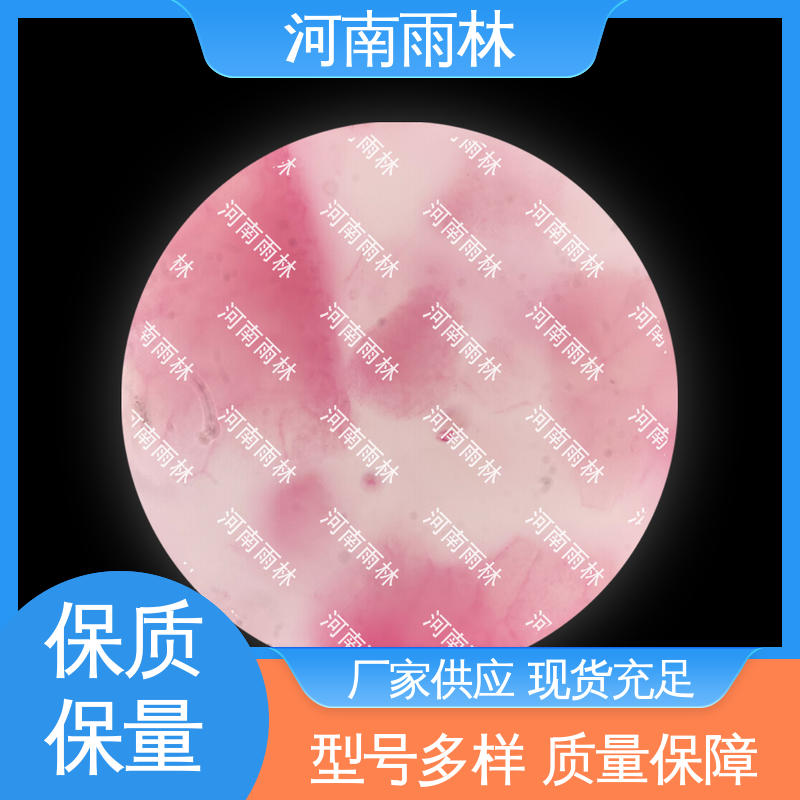 雨林教育工程 售后无忧 专业 品质优良 病害标本