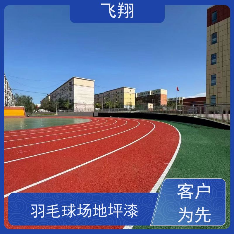 惠城区汝湖 横沥 马安篮球场地坪漆一站式服务 勘测设计施工售后
