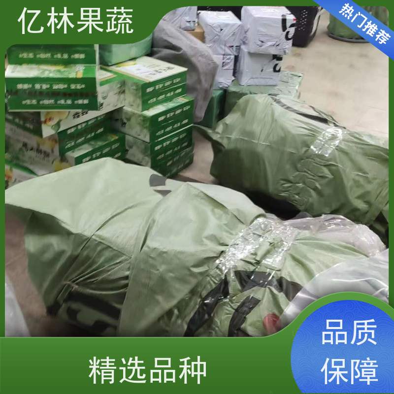 基地供应 黄桃苗 嫁接技术指导 抗寒能力强 易栽培桃树苗