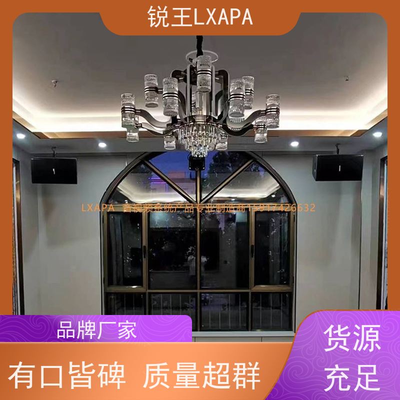 锐王LXAPA 小型演出用 8寸语音音箱 酒吧音响设备 会议室小音柱