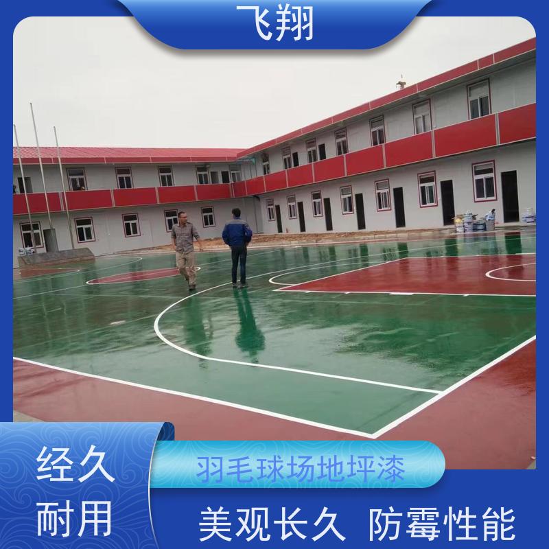 广州荔湾 越秀 海珠球场专用地坪漆 篮球场地坪定制 施工效率高