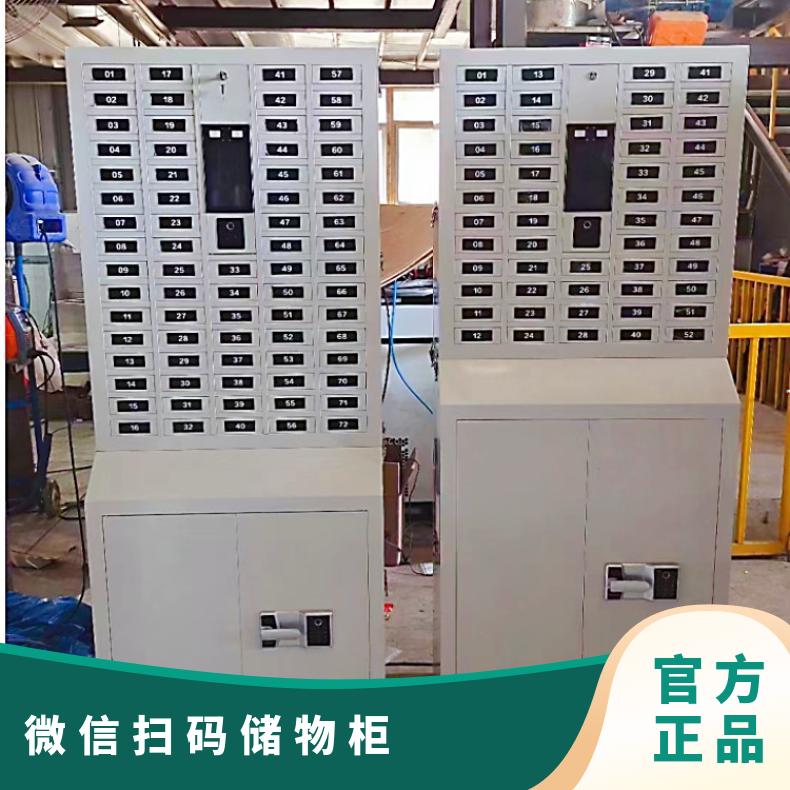浩安特 微信扫码储物柜 标准 箱数量2*6 外形尺寸按需定制 手机寄存柜