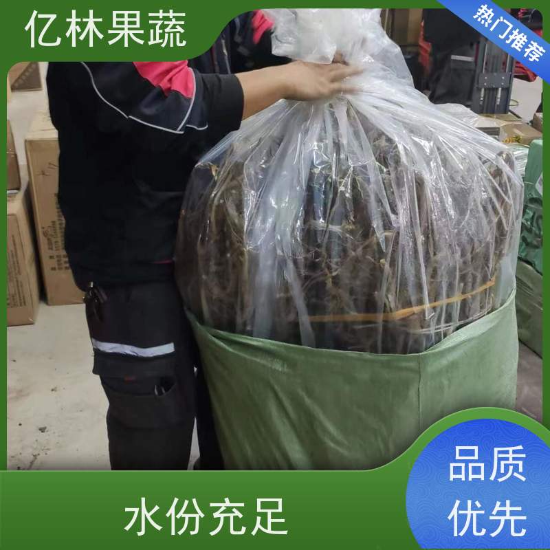 亿林苗木 秋彤桃 园林绿化果树苗 抗寒能力强 果实饱满味道好
