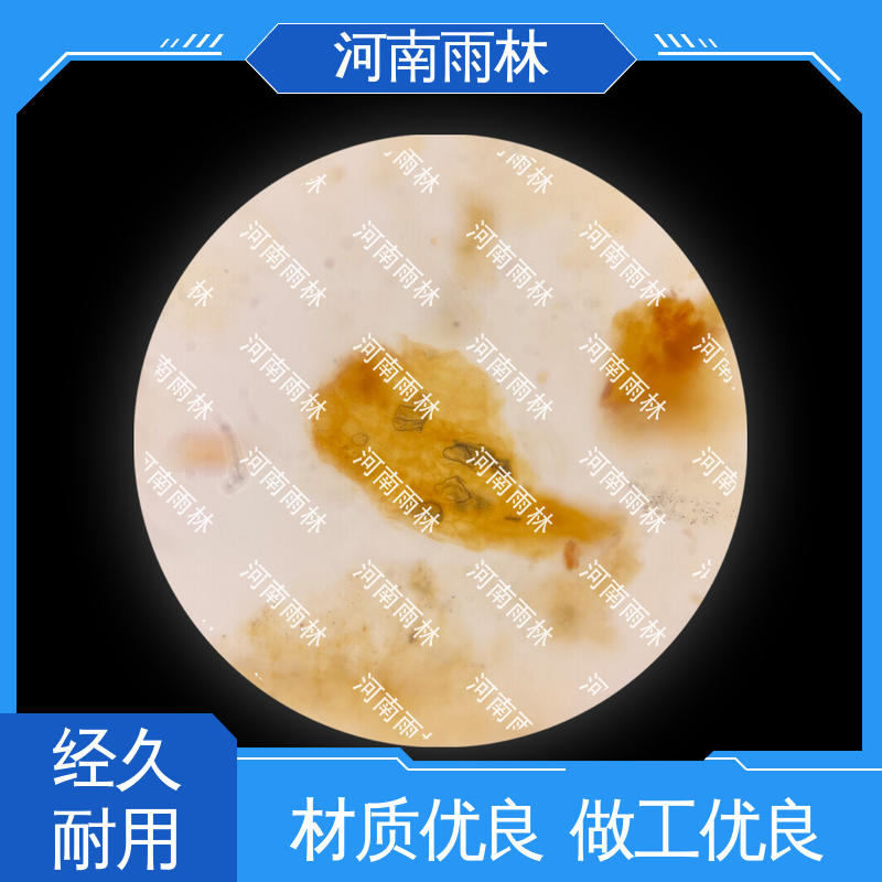售后无忧 源头工厂 植物标本 细胞清晰 雨林教育