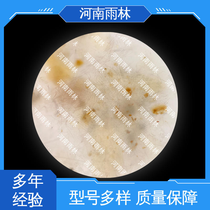 品质优良 个性化定做 可后期加工 植物切片 雨林