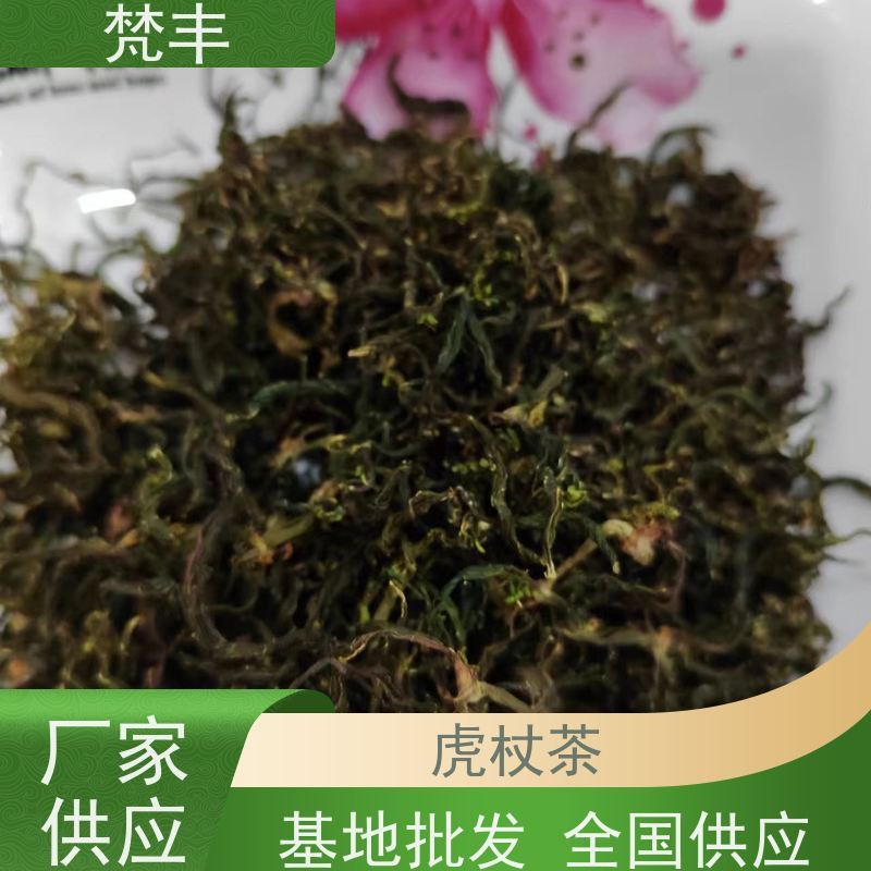 梵丰 虎杖驯化苗 阴凉处储存 长期供应 诚信经营