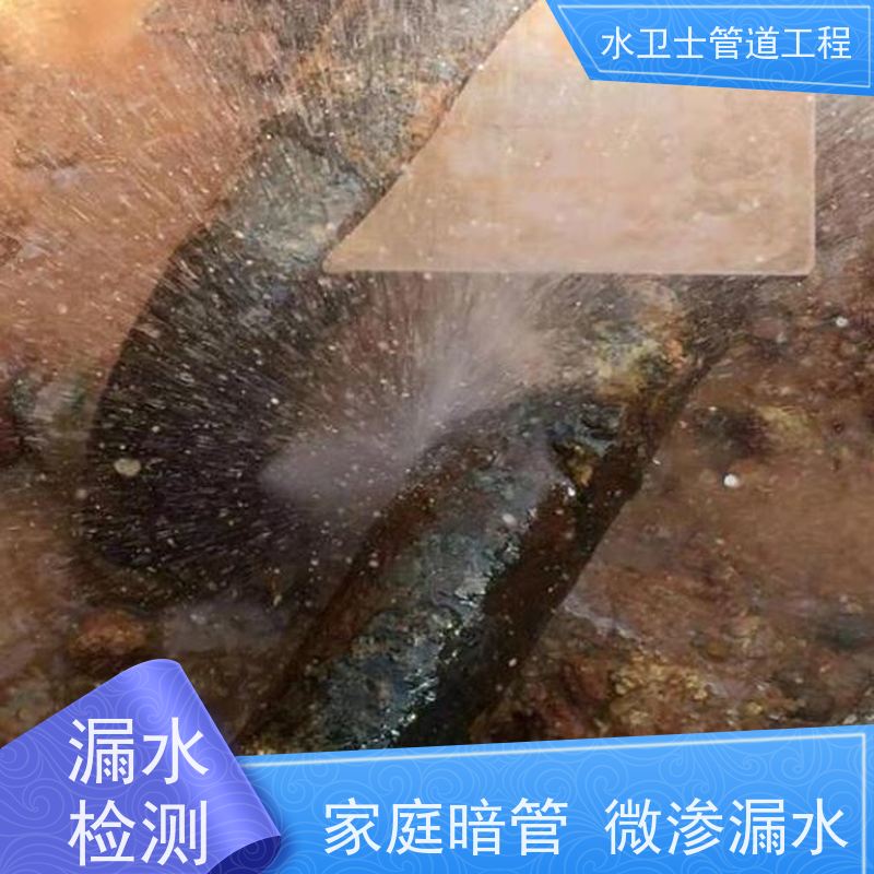 无锡市锡山区 室内外地下暗管 漏水检测换管维修勘察现场 