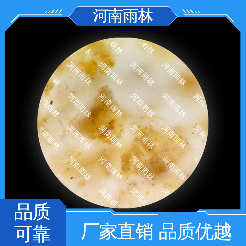 个性化定做 细胞清晰 性价比高 植物标本 雨林教育