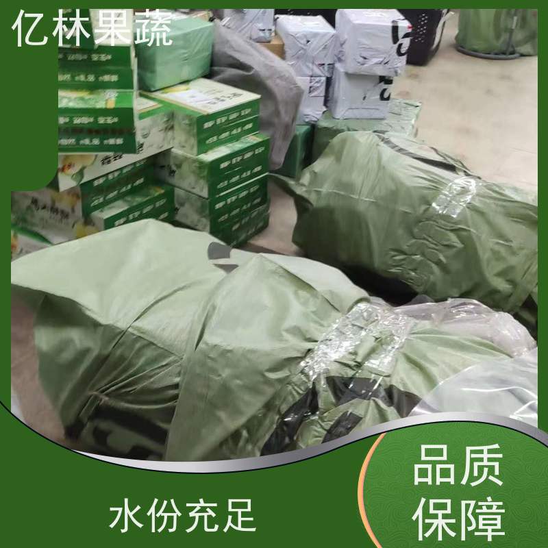 基地培育 油桃苗 园林绿化果树苗 抗寒能力强 果实饱满味道好