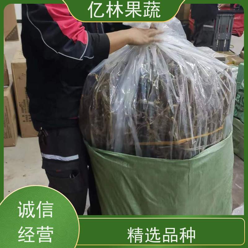 基地培育 园林嫁接桃苗 果树苗批发 当年结果 根系饱满成活率高